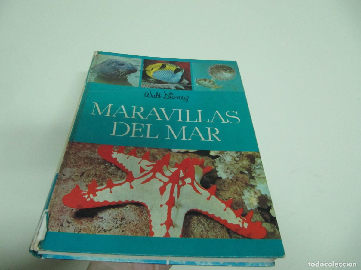 Libros de segunda mano: Maravillas del mar WALT DISNEY - Foto 1