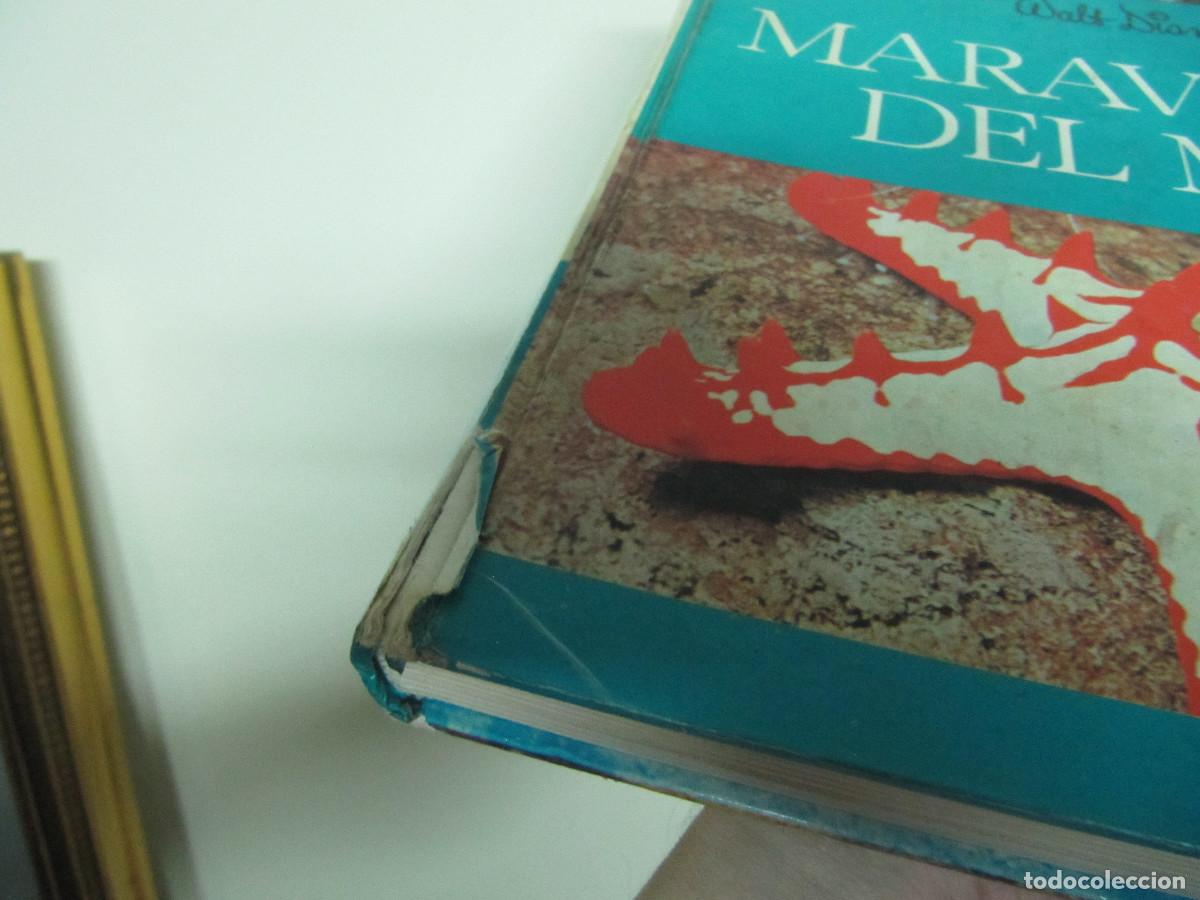 Libros de segunda mano: Maravillas del mar WALT DISNEY - Foto 2