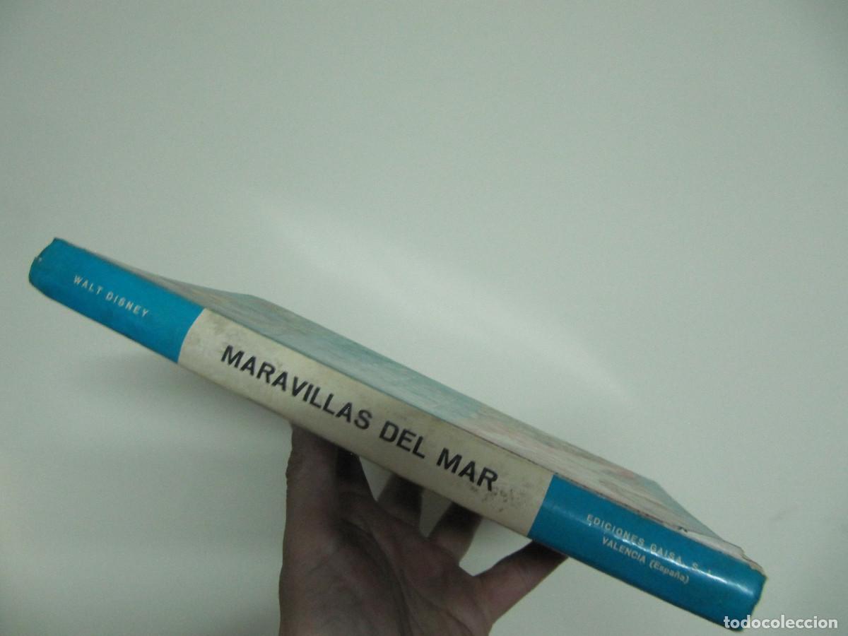 Libros de segunda mano: Maravillas del mar WALT DISNEY - Foto 4