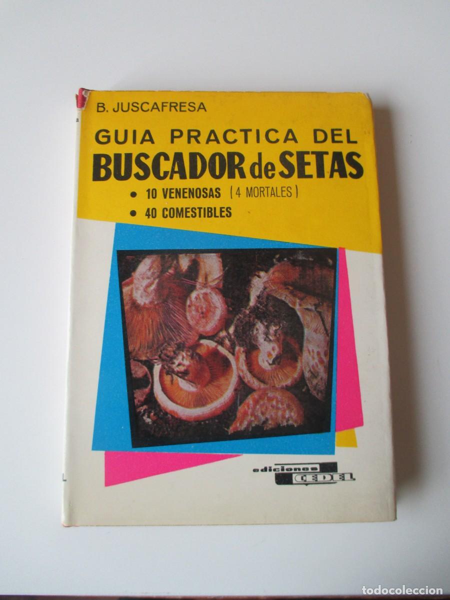 Libros de segunda mano: B. JUSCAFRESCA Gu&iacute;a pr&aacute;ctica del buscador de setas W34601 - Foto 1