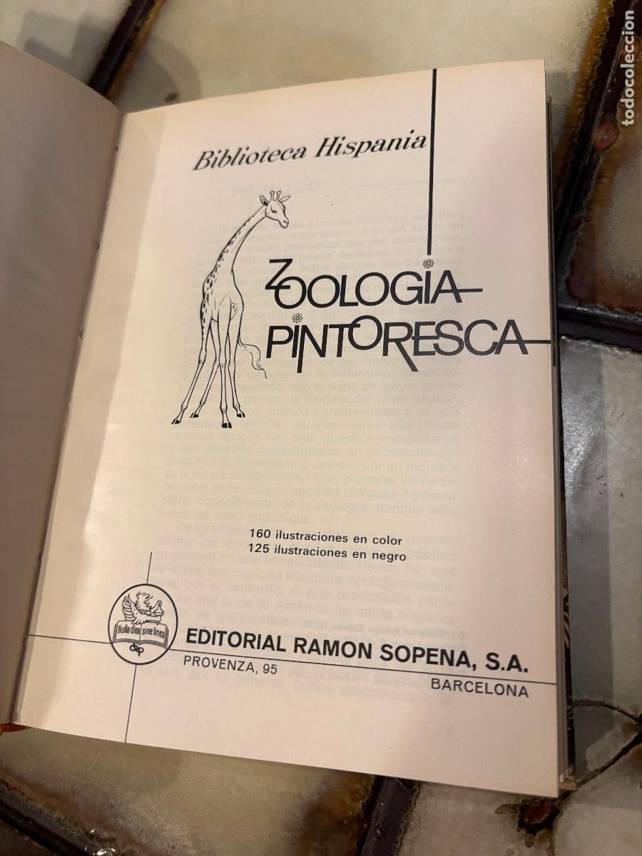 Libros de segunda mano: Zoolog&iacute;a pintoresca. Biblioteca Hispania. PEDIDO M&Iacute;NIMO 5&euro; - Foto 2