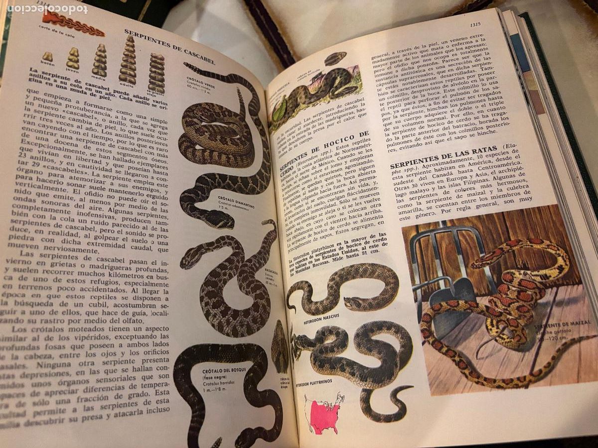 Libros de segunda mano: Ciencias naturales. Bruguera. 4 tomos. - Foto 3