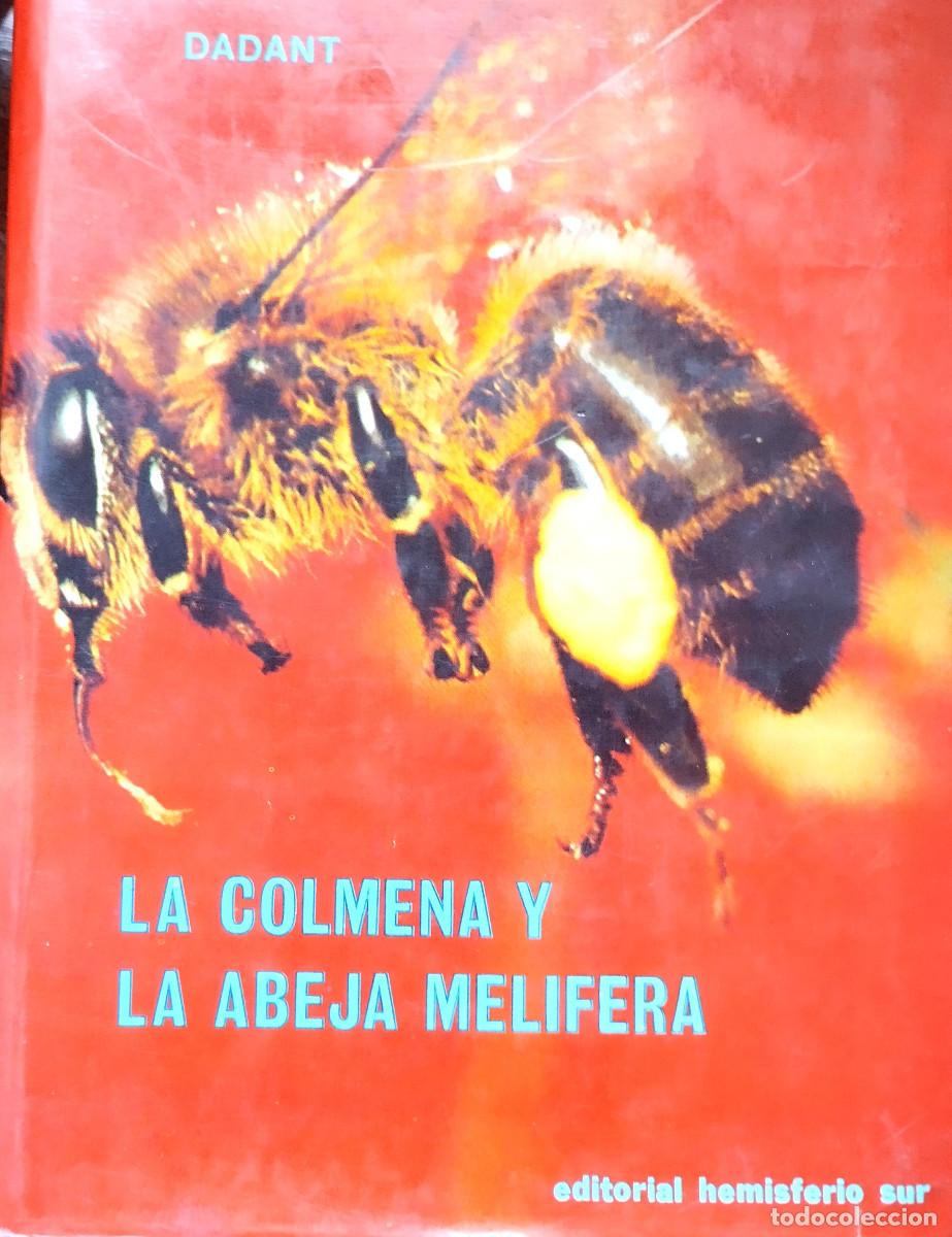 Libros de segunda mano: LA COLMENA Y LA ABEJA MELIFERA &ndash; DADANT - Foto 1