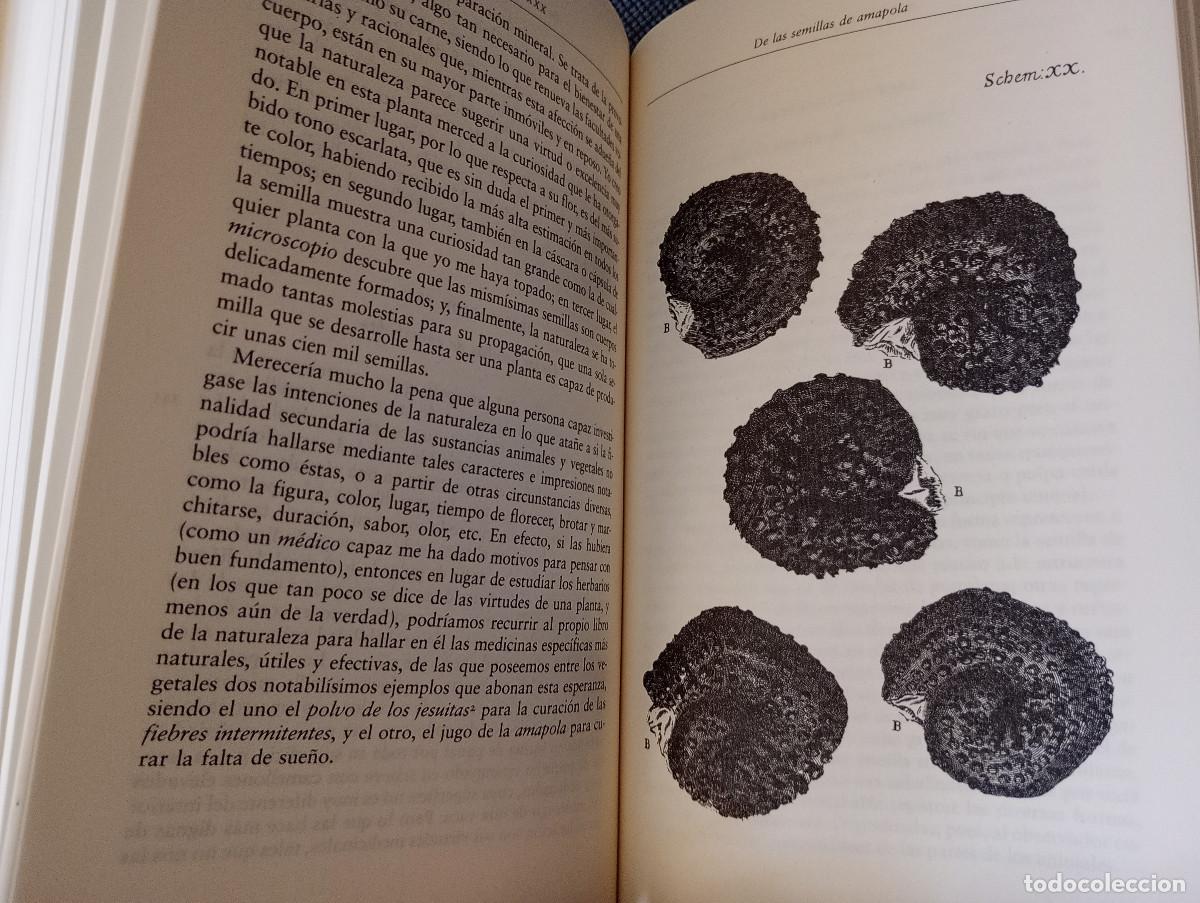 Libros de segunda mano: Micrograf&iacute;a (Robert Hooke) - Foto 10