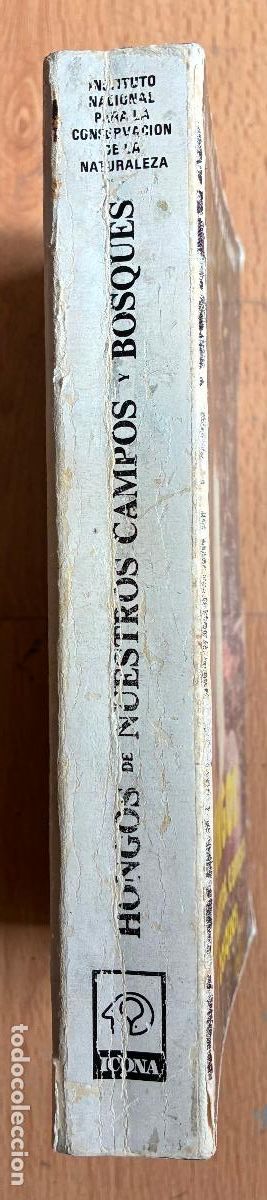 Libros de segunda mano: HONGOS DE NUESTROS CAMPOS Y BOSQUES, Francisco de Diego Calonge - Foto 2