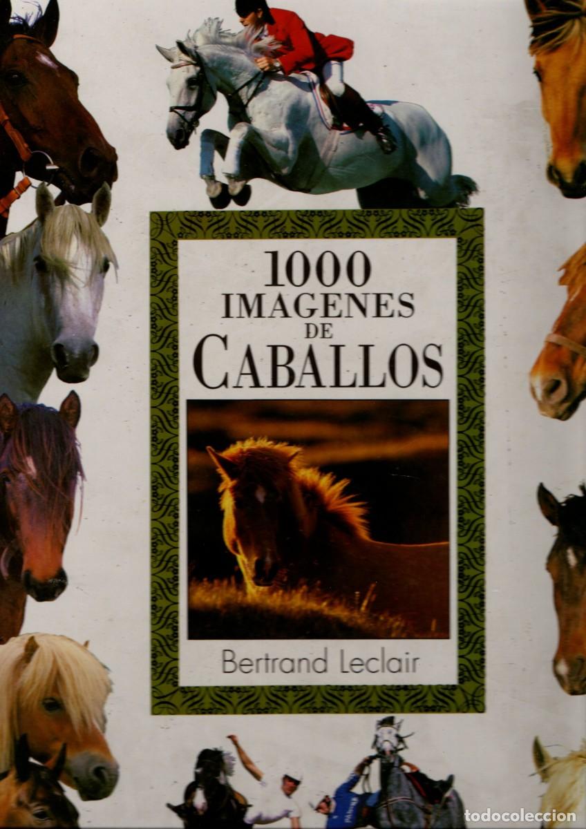 Libros de segunda mano: 1000 IM&Aacute;GENES DE CABALLOS. BERTRAND LECLAIR. CA-059 - Foto 1