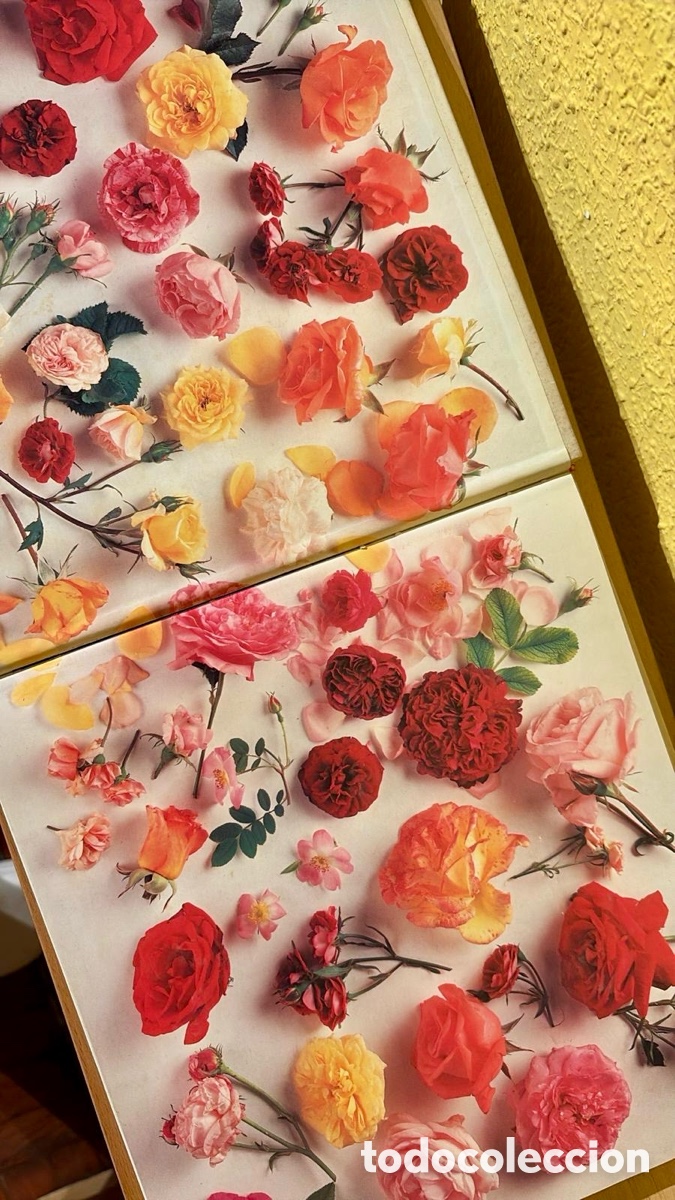 Libros de segunda mano: El gran libro ilustrado de las rosas . John Mattock &bull; Jane Newdick &bull; Neil Sutherland - Foto 2