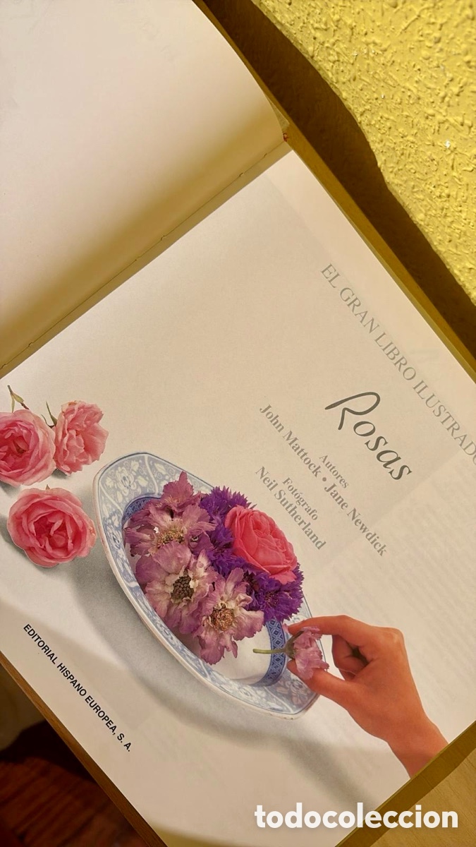 Libros de segunda mano: El gran libro ilustrado de las rosas . John Mattock &bull; Jane Newdick &bull; Neil Sutherland - Foto 3
