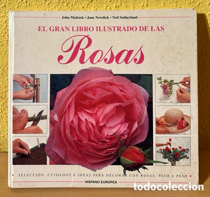 Libros de segunda mano: El gran libro ilustrado de las rosas . John Mattock &bull; Jane Newdick &bull; Neil Sutherland - Foto 1