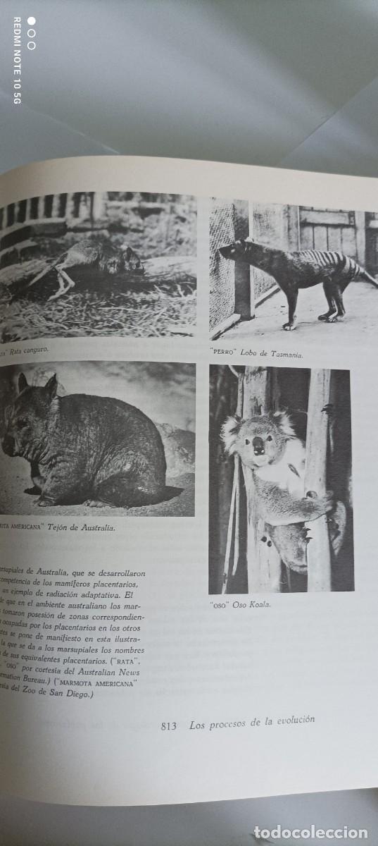 Libros de segunda mano: BIOLOG&Iacute;A HELENA CURTIS OMEGA - Foto 4