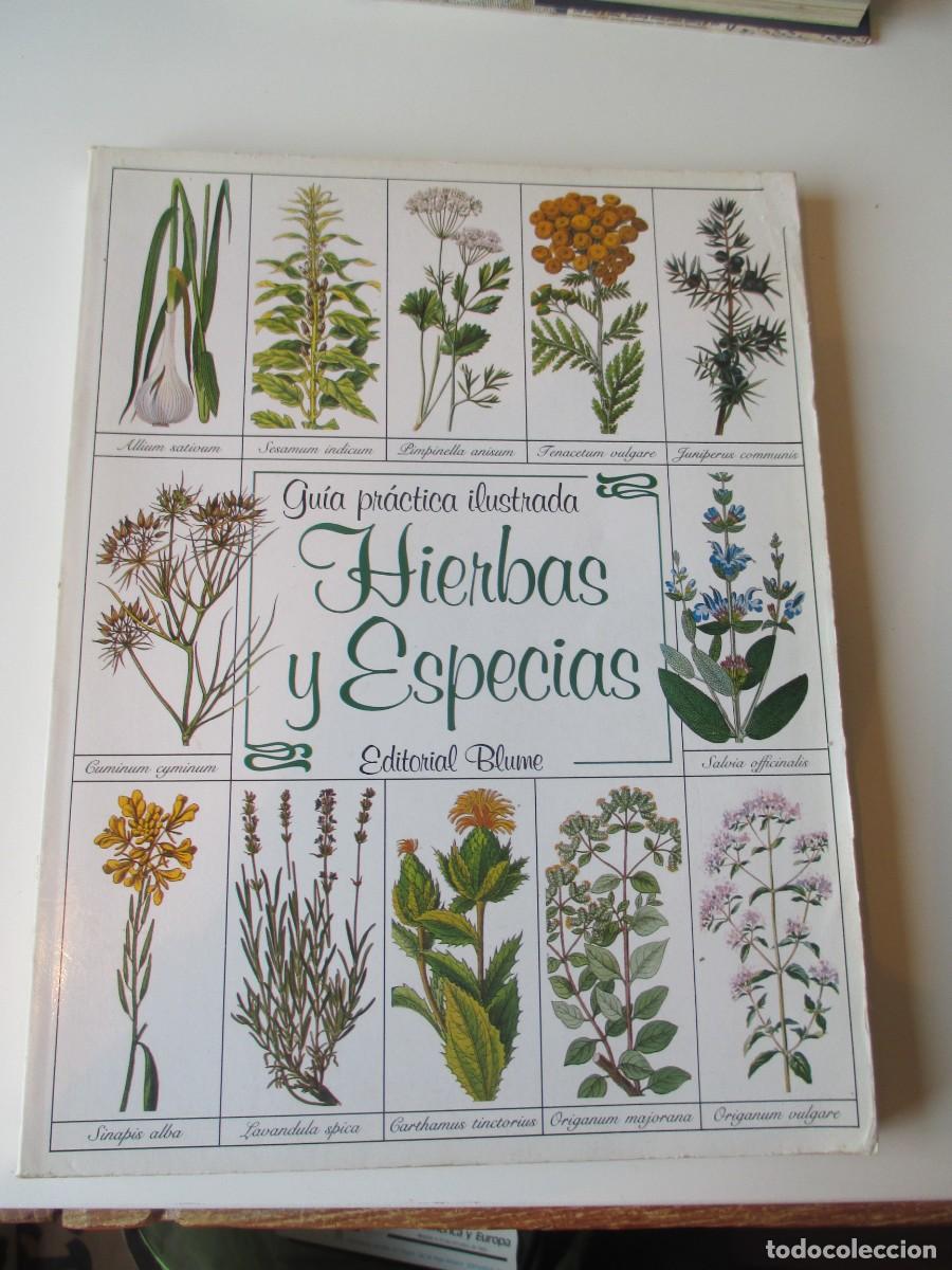 Libros de segunda mano: VV.AA. GU&Iacute;A PR&Aacute;CTICA ILUSTRADA. Hierbas y especias W34669 - Foto 1