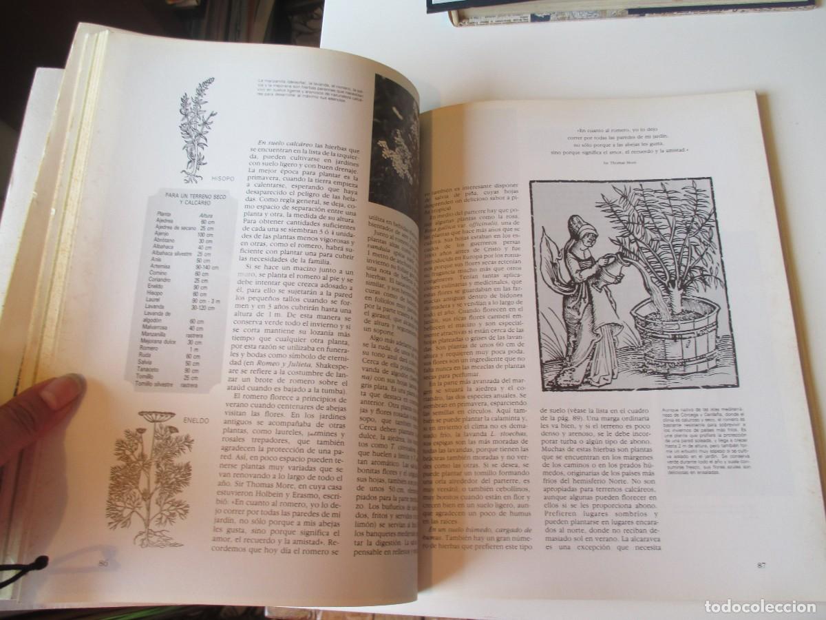 Libros de segunda mano: VV.AA. GU&Iacute;A PR&Aacute;CTICA ILUSTRADA. Hierbas y especias W34669 - Foto 2