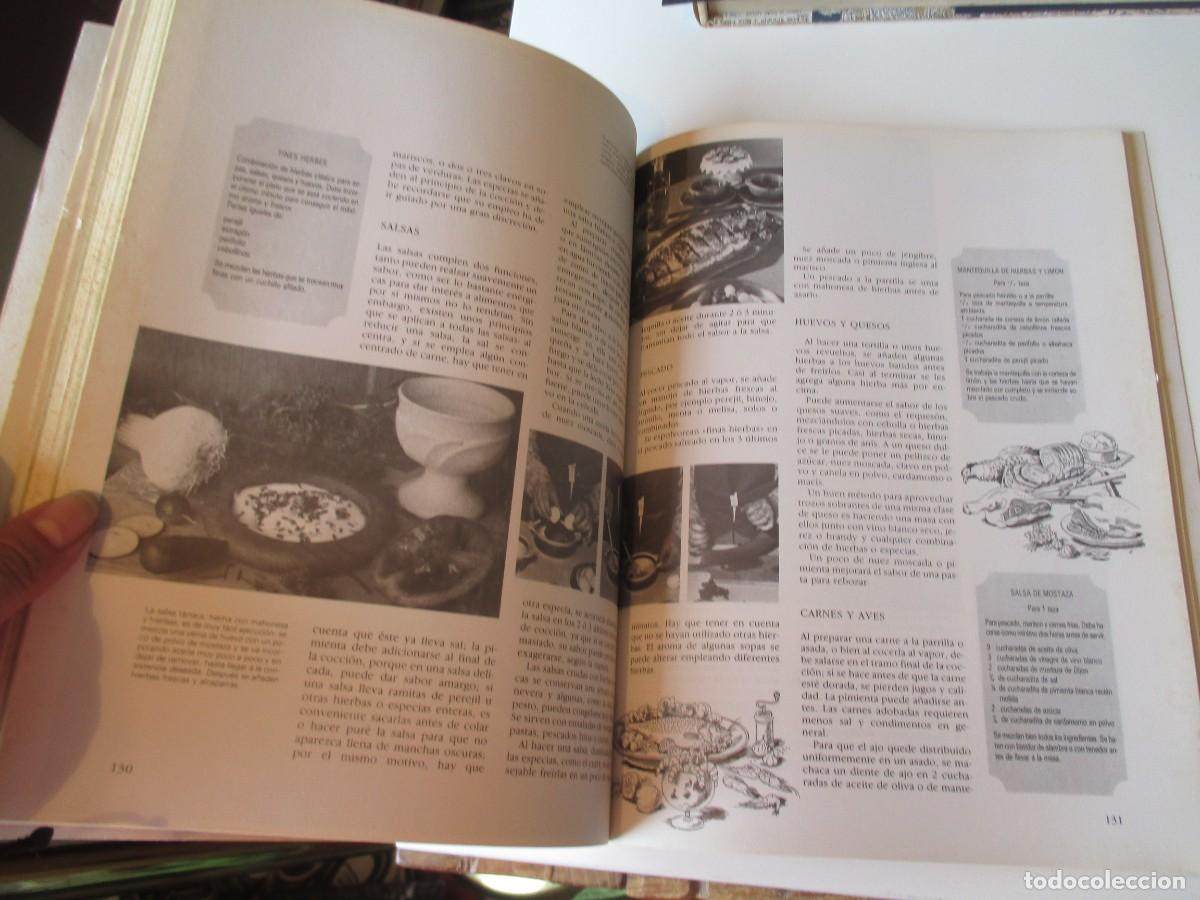 Libros de segunda mano: VV.AA. GU&Iacute;A PR&Aacute;CTICA ILUSTRADA. Hierbas y especias W34669 - Foto 3