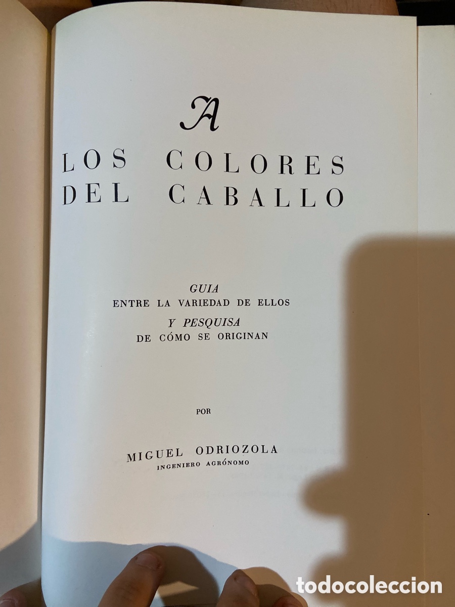Libros de segunda mano: A los colores del Caballo - Miguel Odriozola - Foto 3