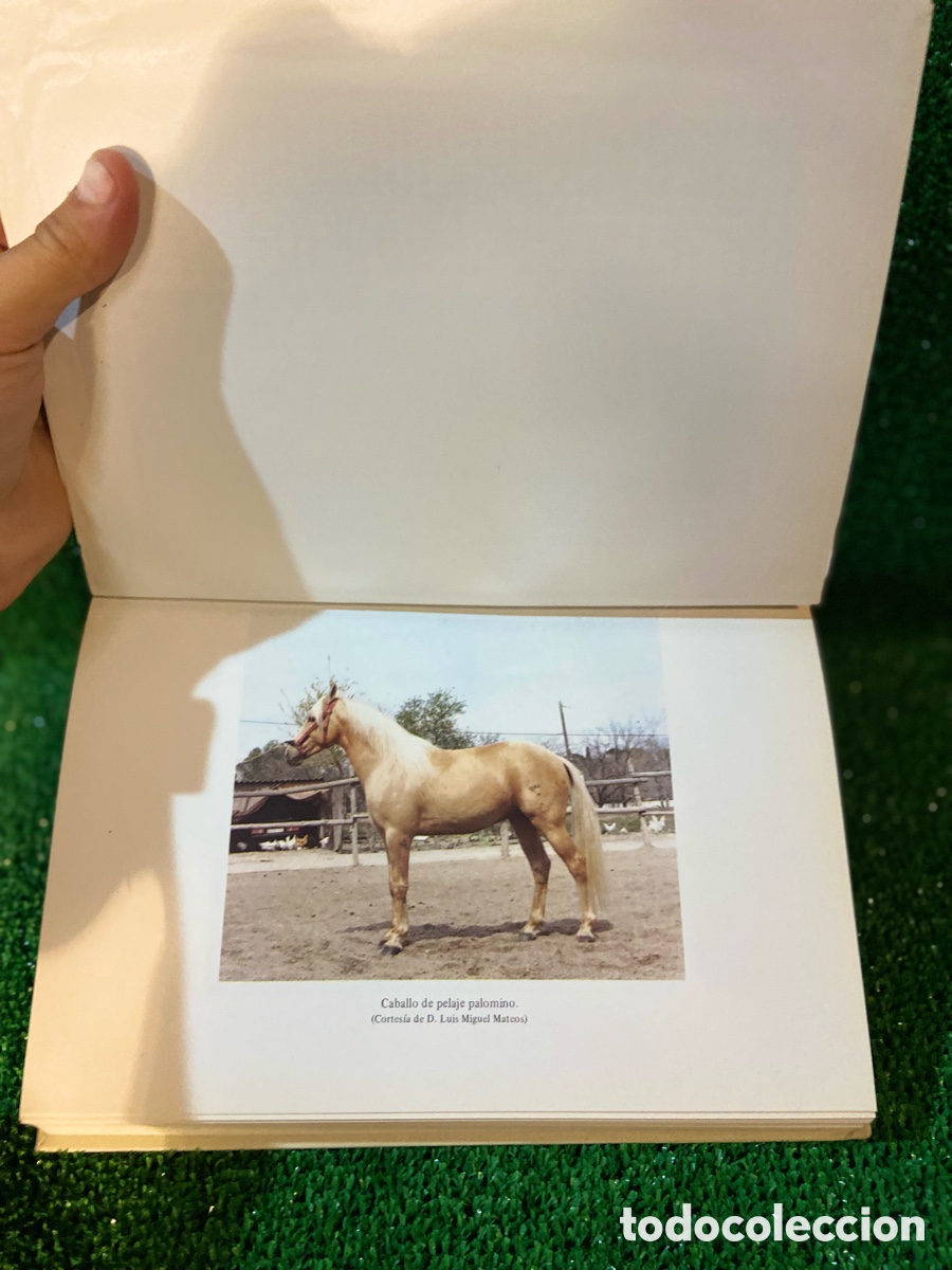 Libros de segunda mano: A los colores del Caballo - Miguel Odriozola - Foto 4