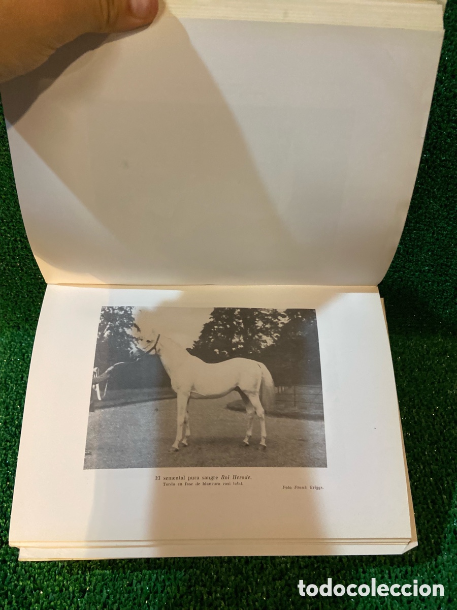 Libros de segunda mano: A los colores del Caballo - Miguel Odriozola - Foto 5
