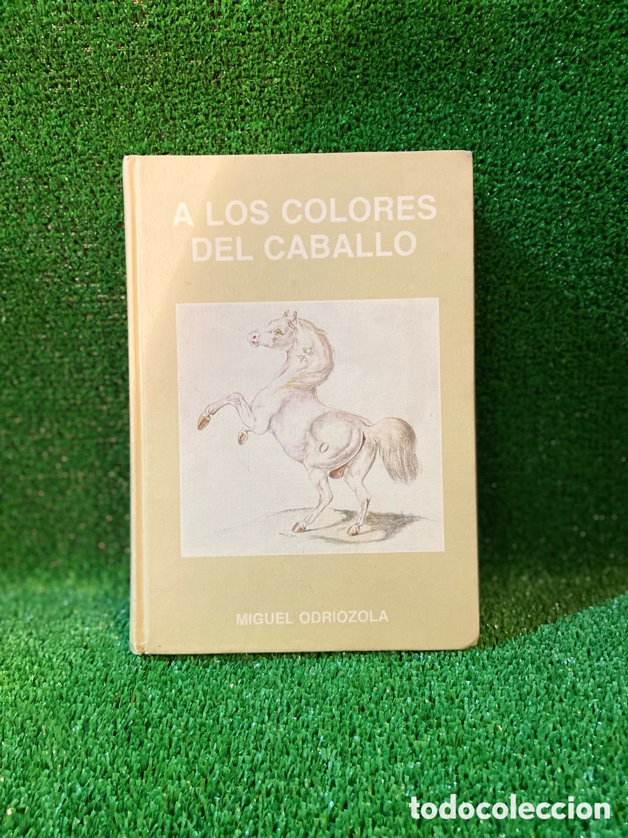 Libros de segunda mano: A los colores del Caballo - Miguel Odriozola - Foto 1