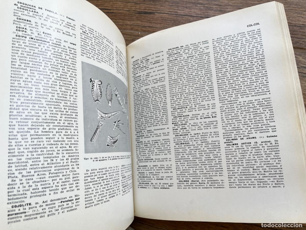 Libros de segunda mano: ENCICLOPEDIA UNIVERSAL DE LA CAZA. 2 TOMOS - Foto 5