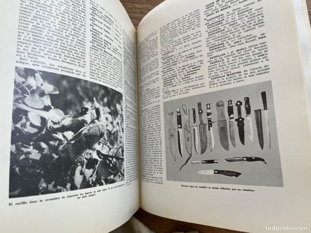 Libros de segunda mano: ENCICLOPEDIA UNIVERSAL DE LA CAZA. 2 TOMOS - Foto 6