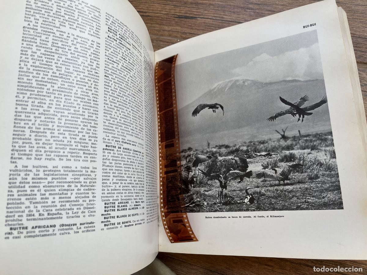 Libros de segunda mano: ENCICLOPEDIA UNIVERSAL DE LA CAZA. 2 TOMOS - Foto 9