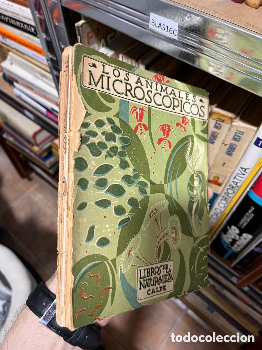 Libros de segunda mano: Blas16C los animales microsc&oacute;picos LIBROS DE LA NATURALEZA CALPE - Foto 1