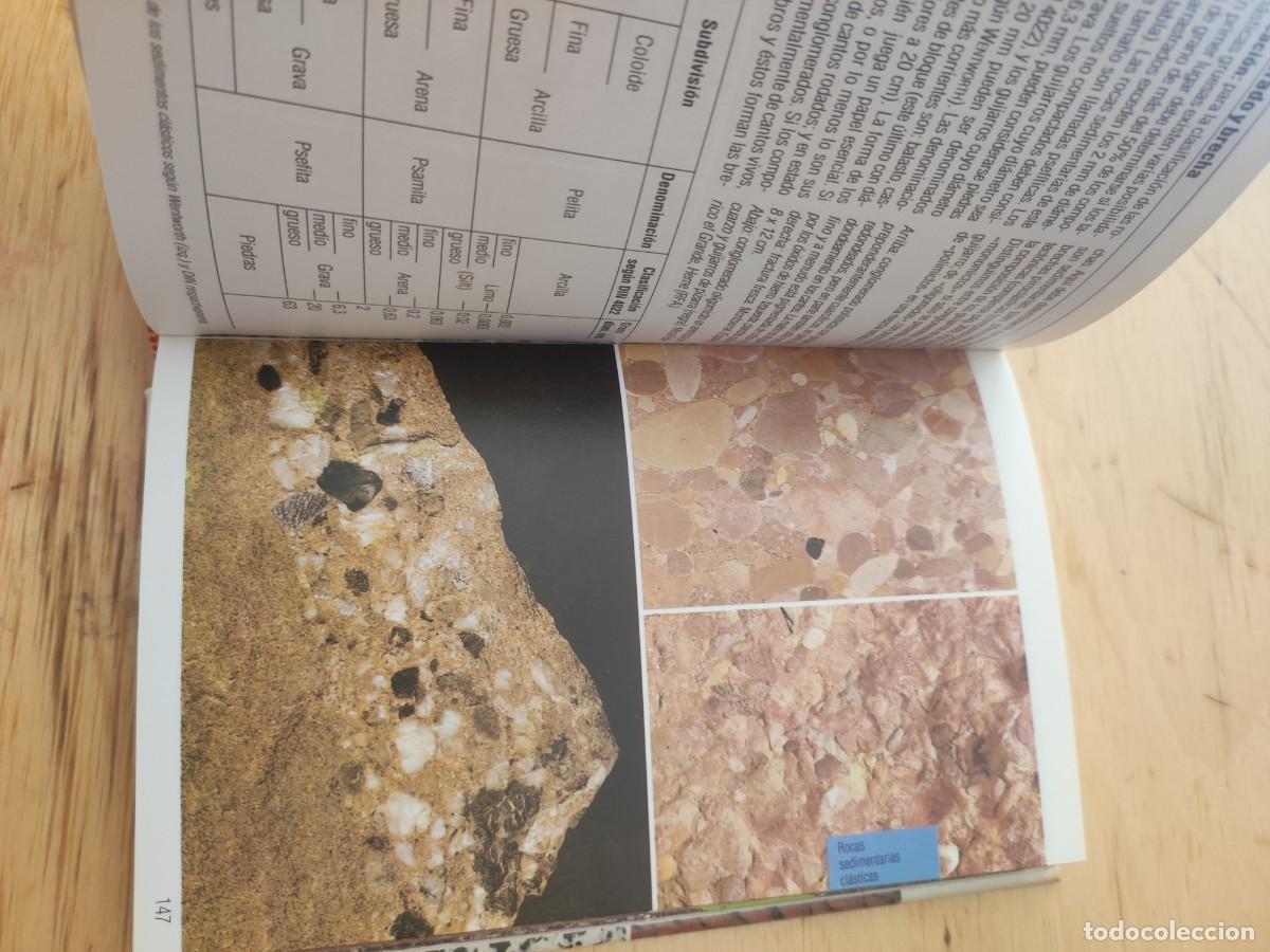 Libros de segunda mano: Gu&iacute;as de naturaleza Blume: Rocas. - Foto 7