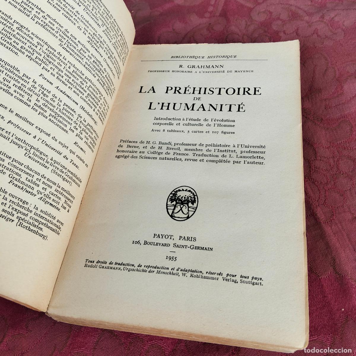 Libros de segunda mano: La pr&eacute;histoire de lhumanit&eacute; R Grahmann Payot 1955 - Foto 4