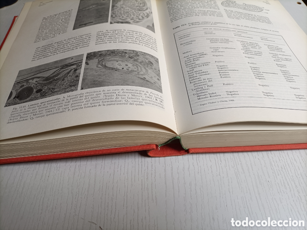 Libros de segunda mano: Parasitolog&iacute;a general Thomas C.Cheng.. editorial AC 1978 - Foto 10