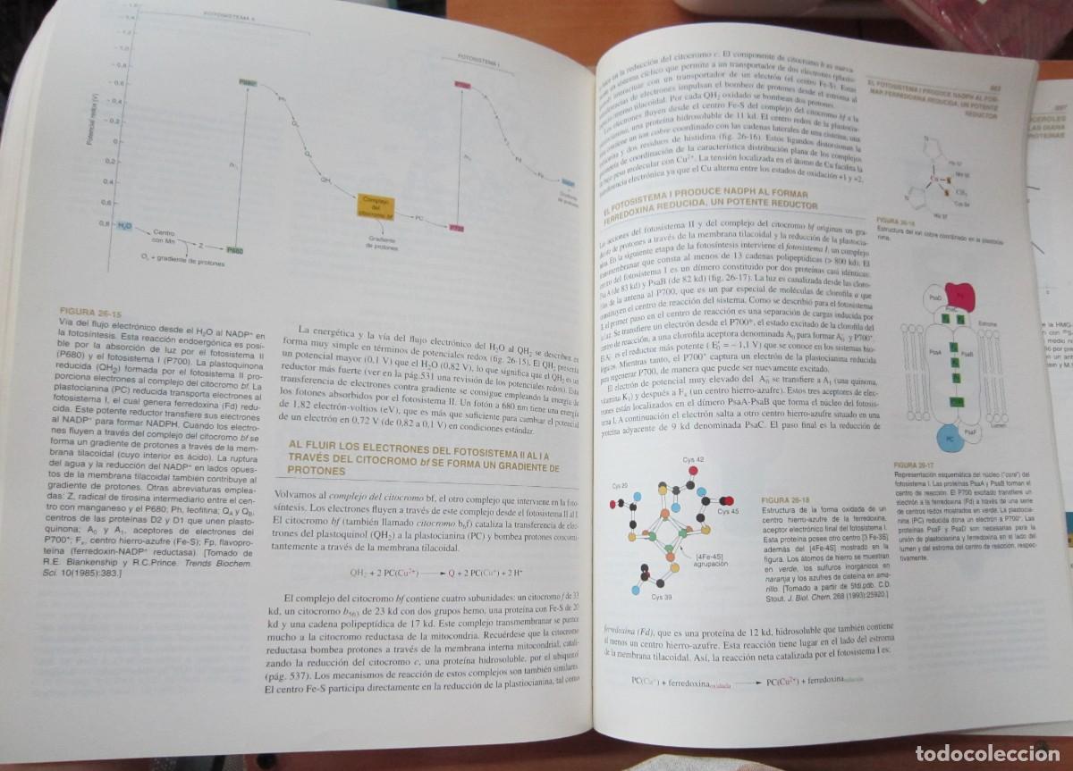 Libros de segunda mano de ciencias: Bioqu&iacute;mica, de Lubert Stryer, Vol 1 y 2 - Foto 3