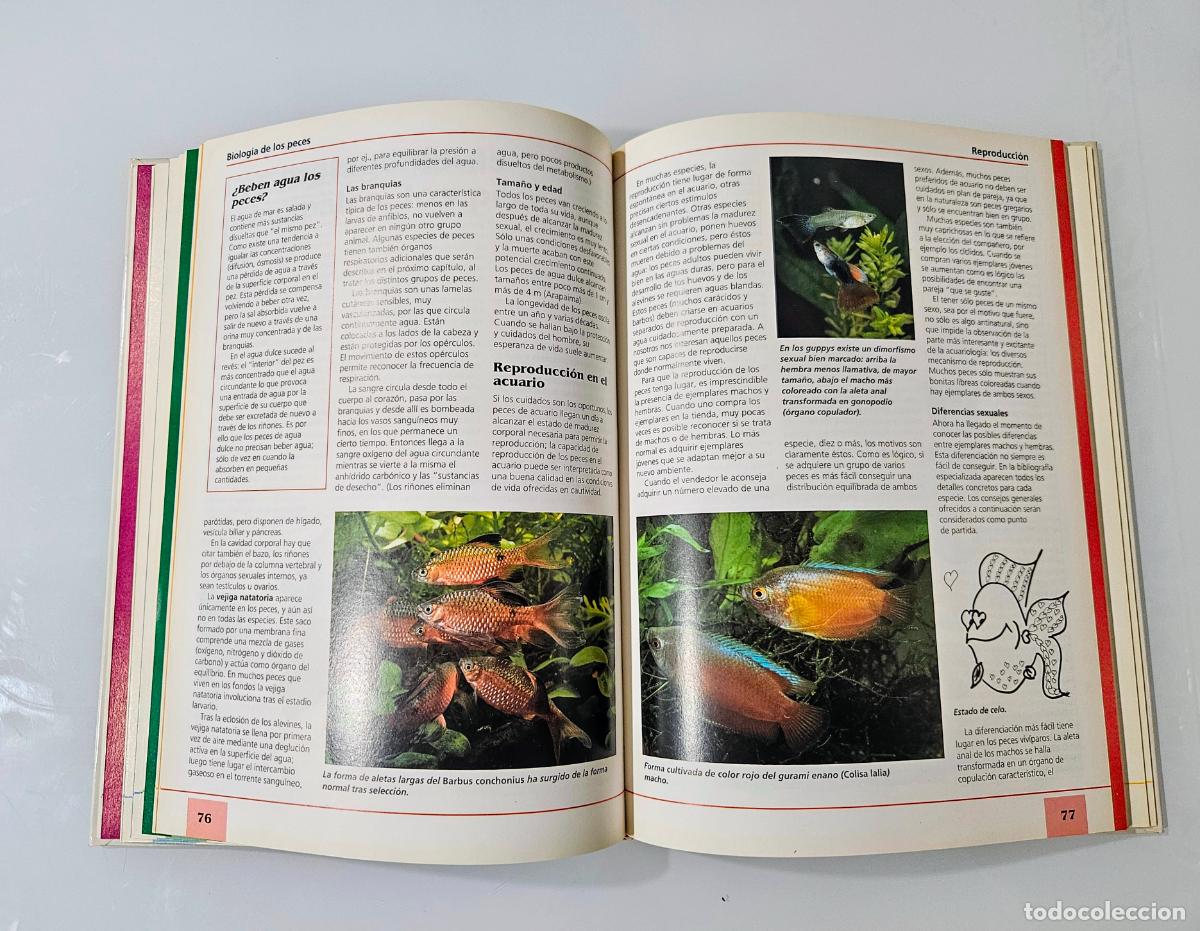 Libros de segunda mano: El Libro del Acuario / Stephan Dreyer / Editorial, OMEGA, 1995 - Foto 5