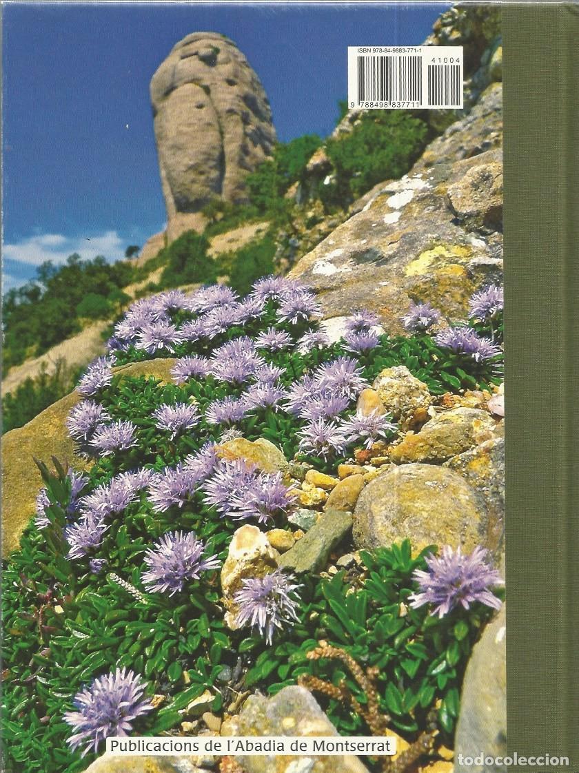 Libros de segunda mano: FLORS DE MONTSERRAT - ALBERT AREAN i TRABAL - Foto 4