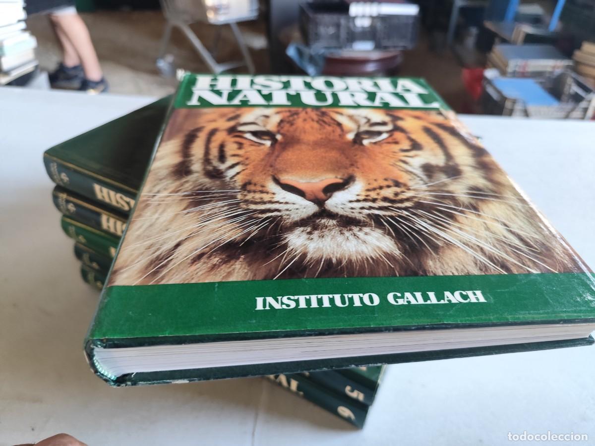 Libros de segunda mano: HISTORIA NATURAL - INSTITUTO GALLACH - 6 TOMOS - Foto 3