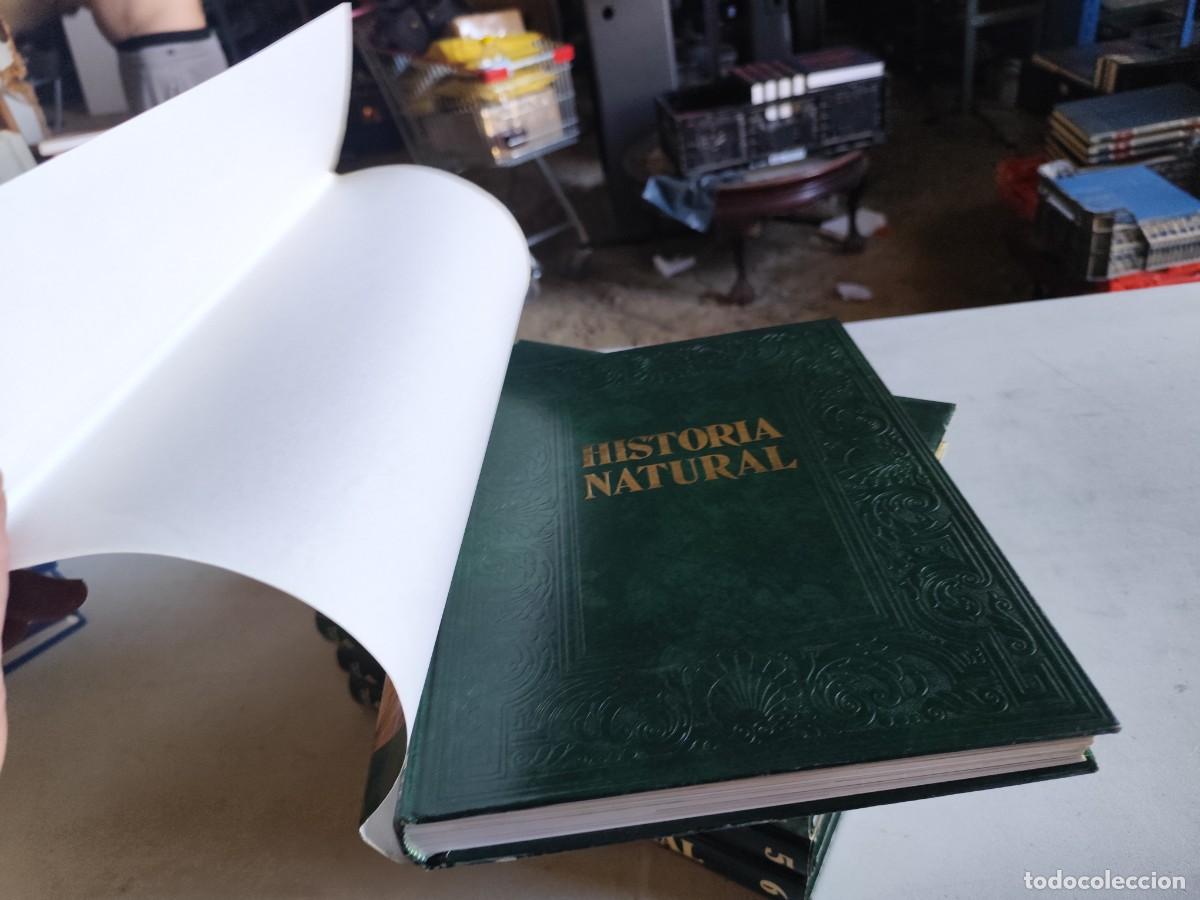 Libros de segunda mano: HISTORIA NATURAL - INSTITUTO GALLACH - 6 TOMOS - Foto 5