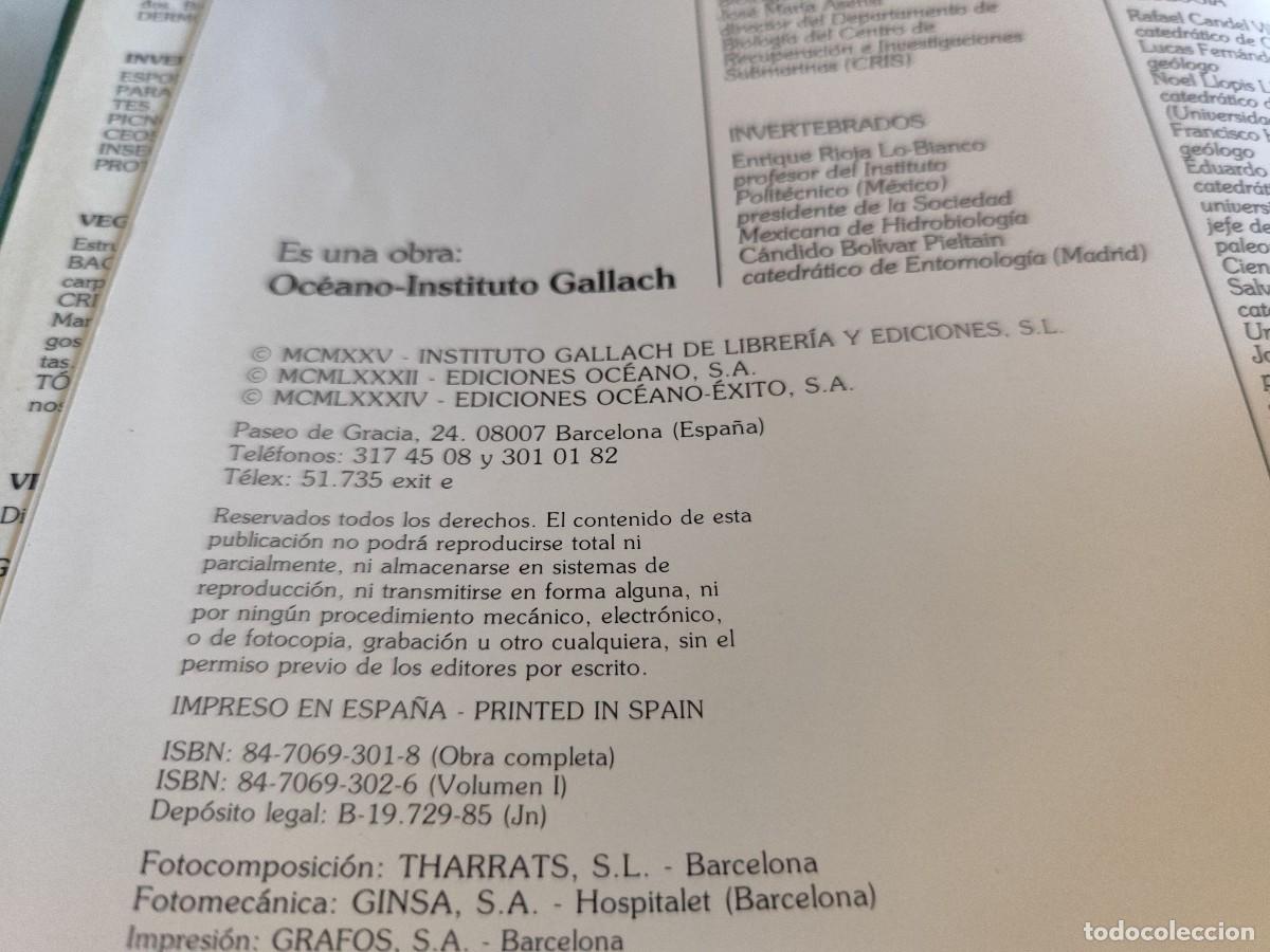 Libros de segunda mano: HISTORIA NATURAL - INSTITUTO GALLACH - 6 TOMOS - Foto 7