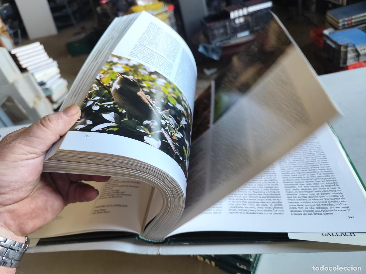 Libros de segunda mano: HISTORIA NATURAL - INSTITUTO GALLACH - 6 TOMOS - Foto 9