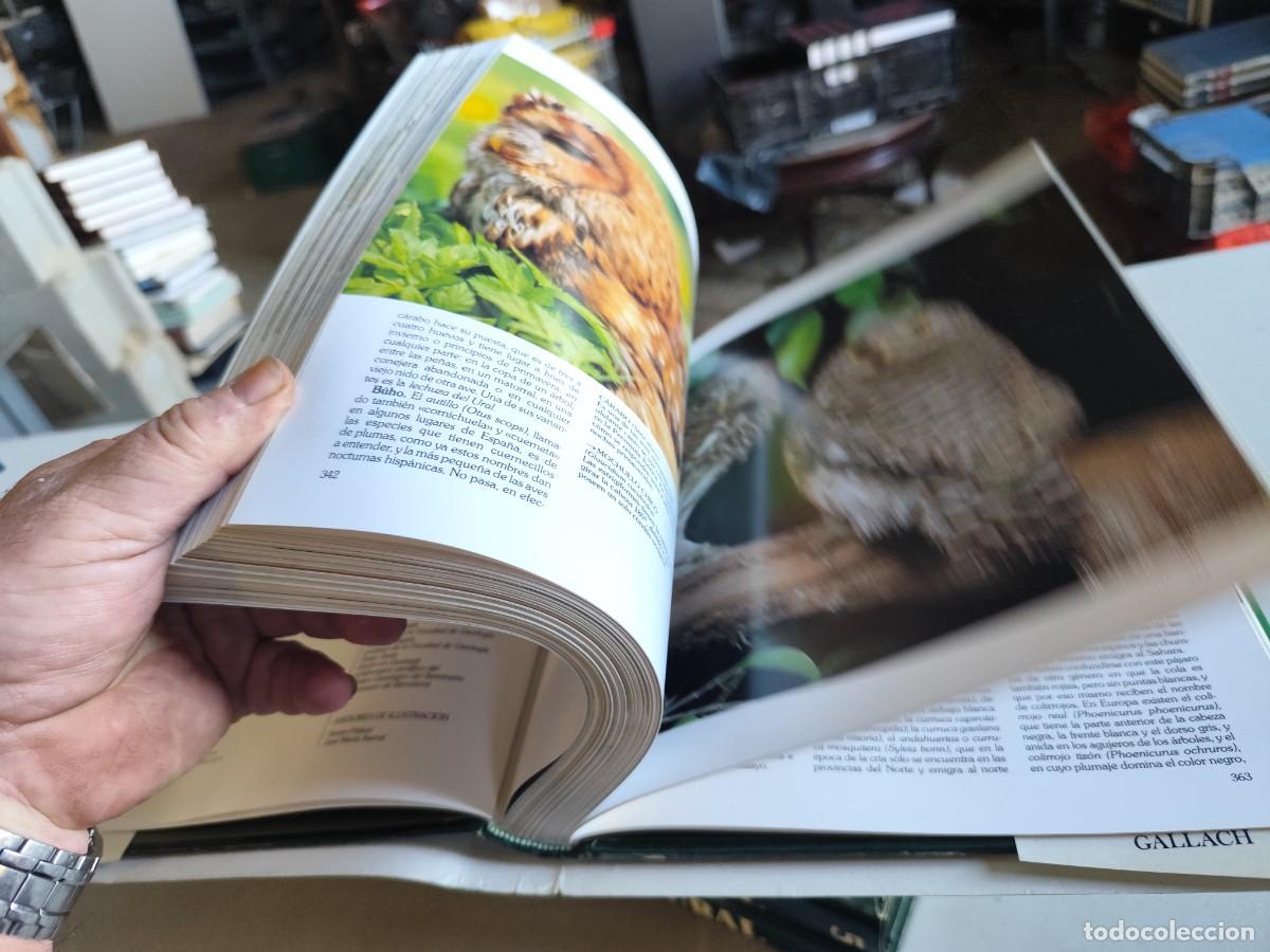 Libros de segunda mano: HISTORIA NATURAL - INSTITUTO GALLACH - 6 TOMOS - Foto 10