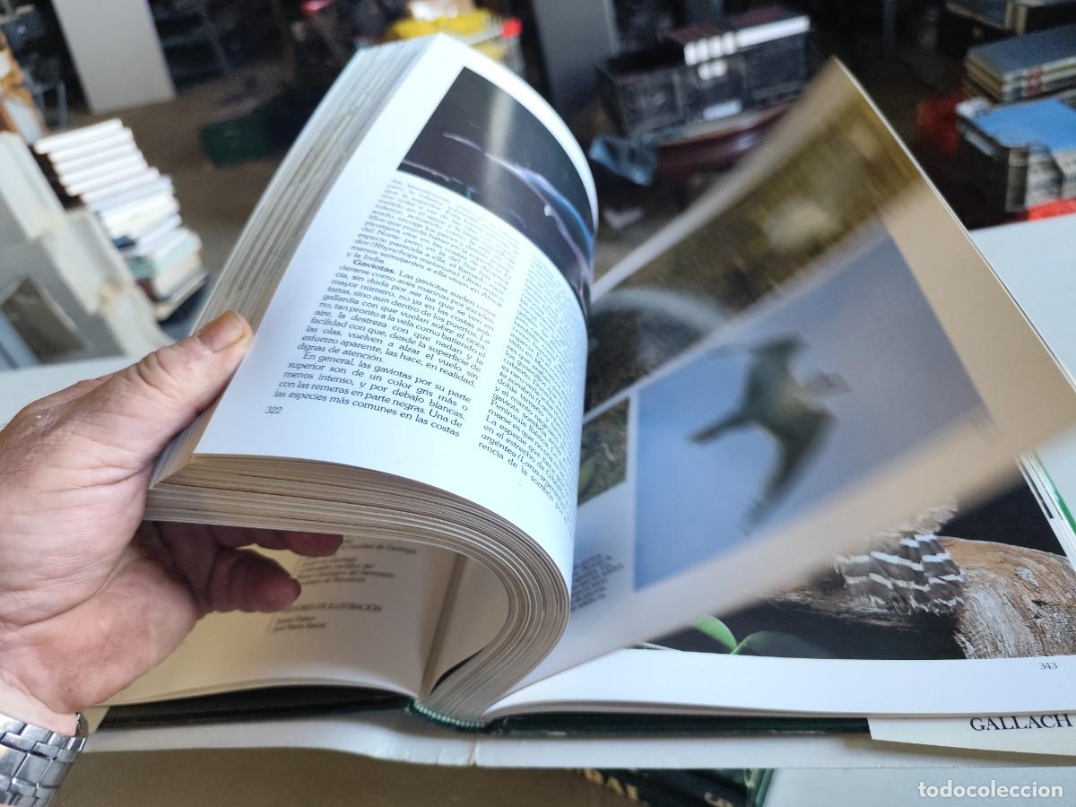 Libros de segunda mano: HISTORIA NATURAL - INSTITUTO GALLACH - 6 TOMOS - Foto 11