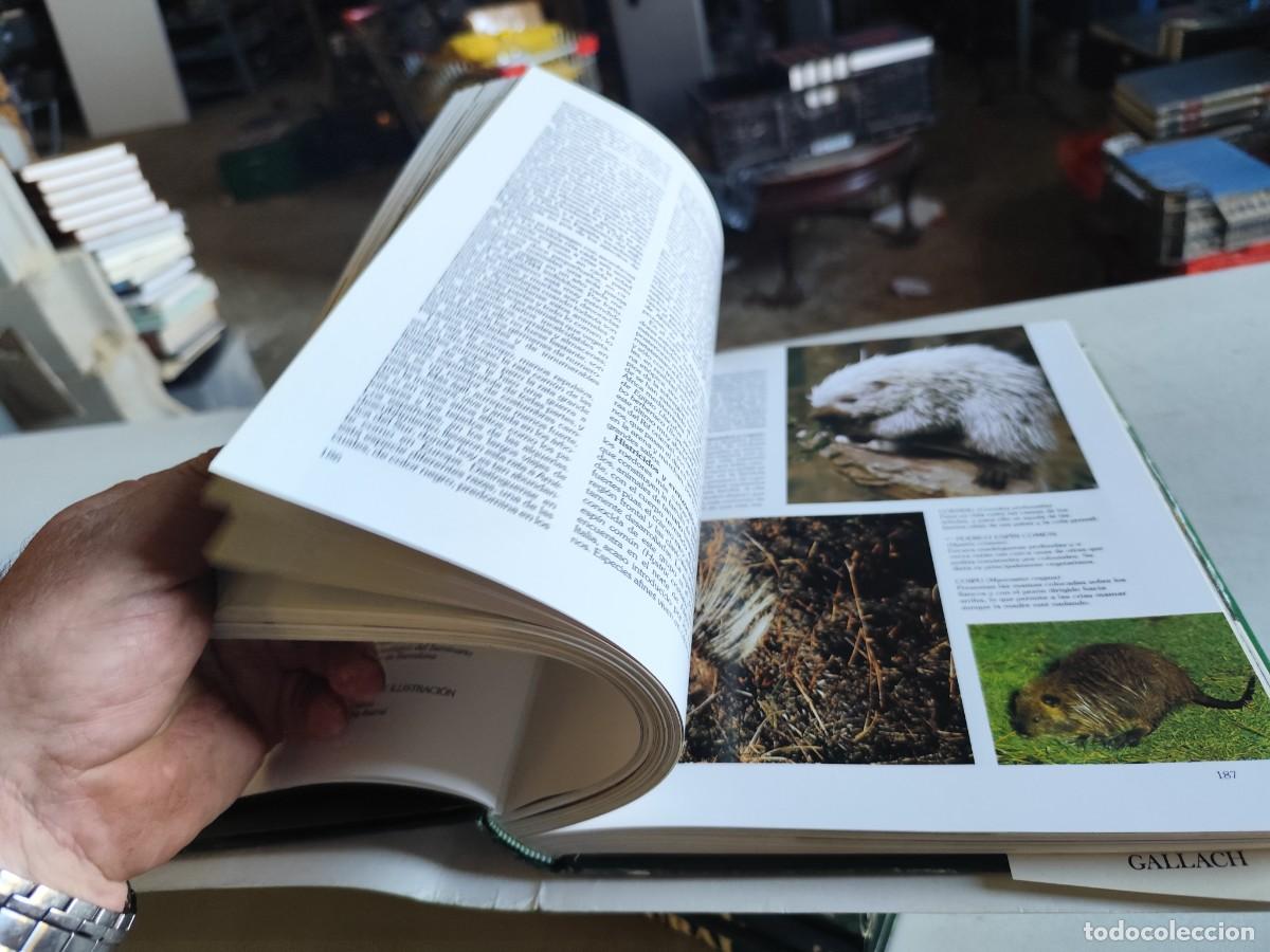 Libros de segunda mano: HISTORIA NATURAL - INSTITUTO GALLACH - 6 TOMOS - Foto 16