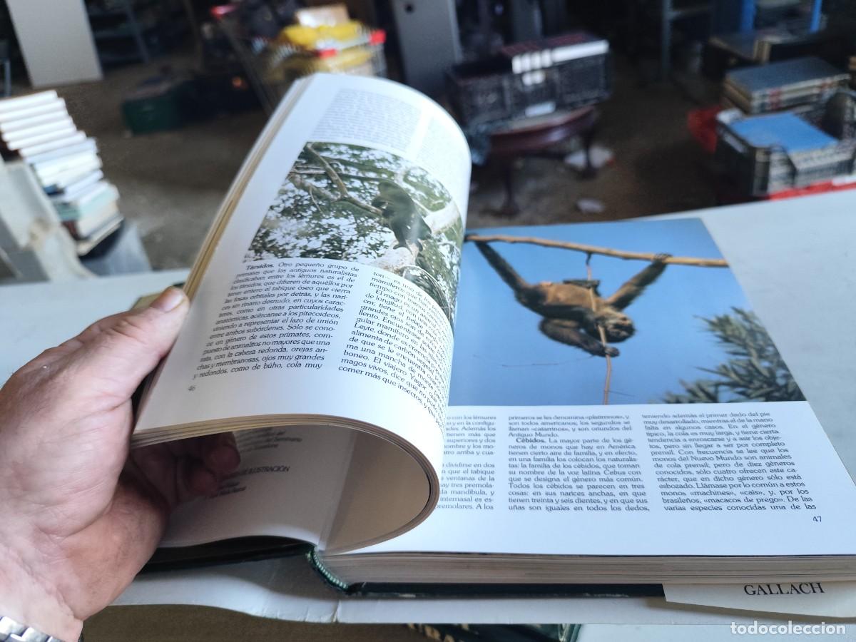 Libros de segunda mano: HISTORIA NATURAL - INSTITUTO GALLACH - 6 TOMOS - Foto 22