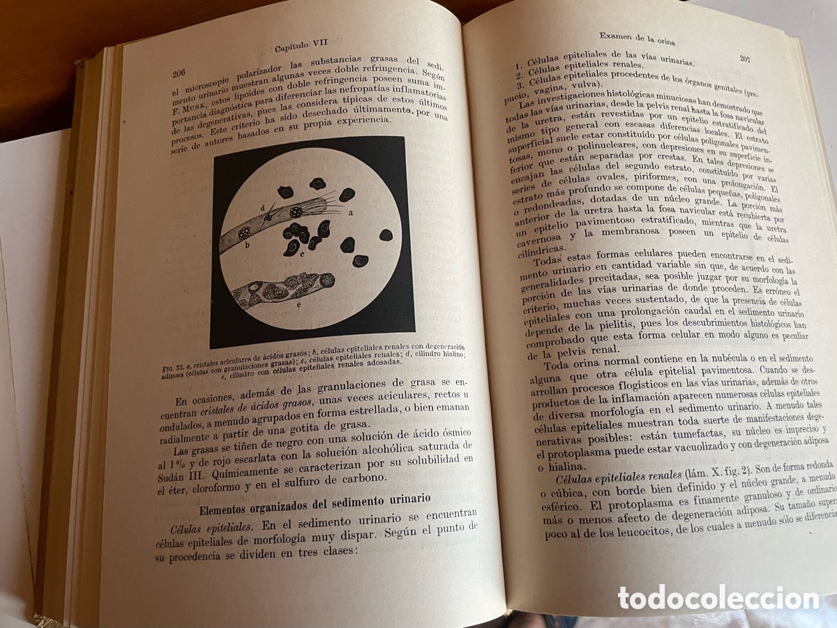 Libros de segunda mano de ciencias: T&eacute;cnica de los m&eacute;todos de an&aacute;lisis cl&iacute;nicos - Foto 3