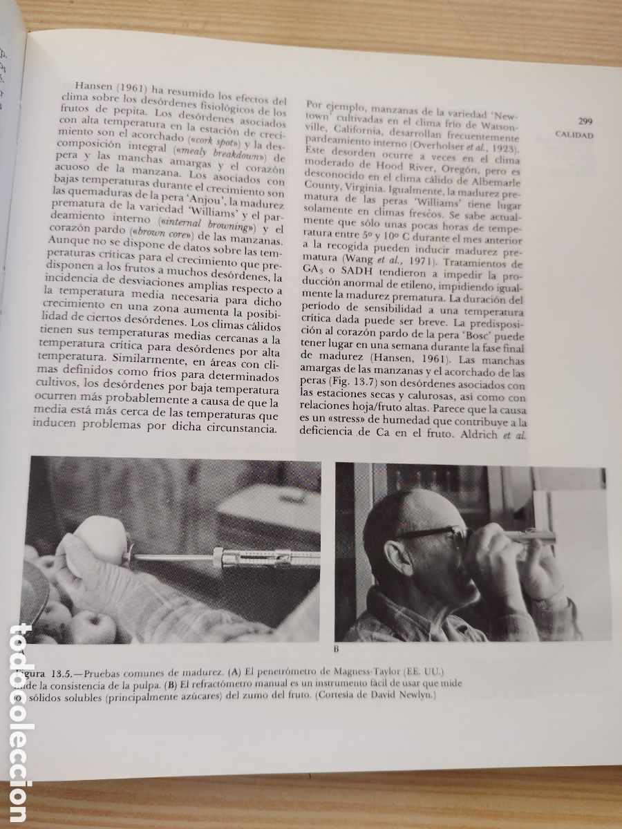Libros de segunda mano: Fruticultura de zonas templadas - Foto 3