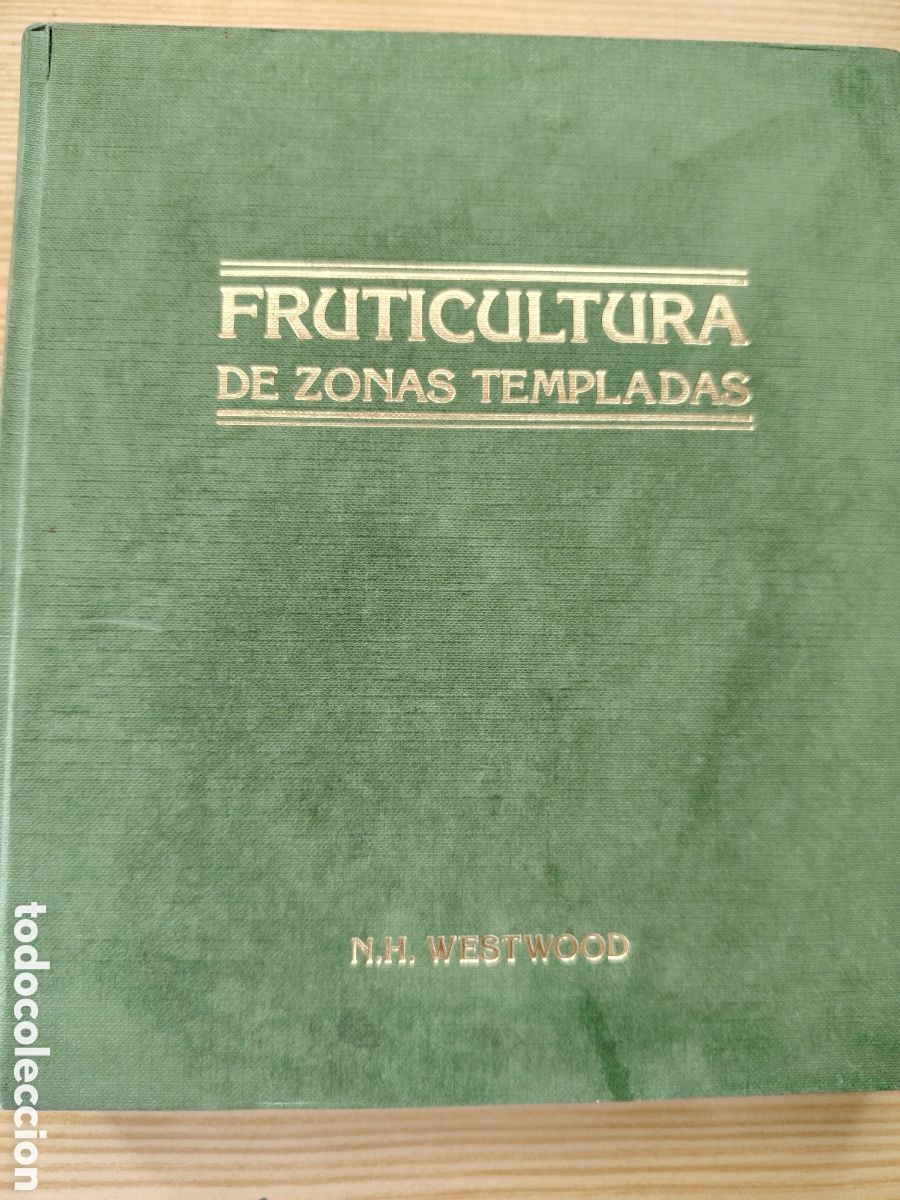 Libros de segunda mano: Fruticultura de zonas templadas - Foto 1