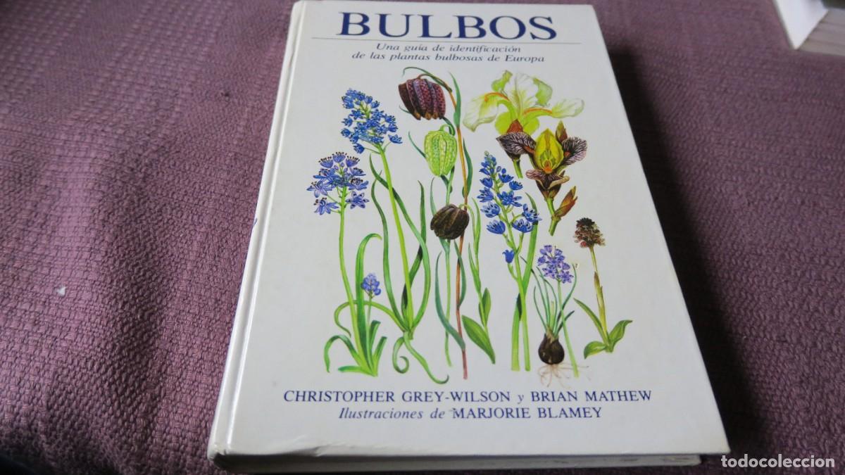 Libros de segunda mano: BULBOS, GUIA DE IDENTIFICACION - GREY-WILSON & MATHEW & BLAMEY