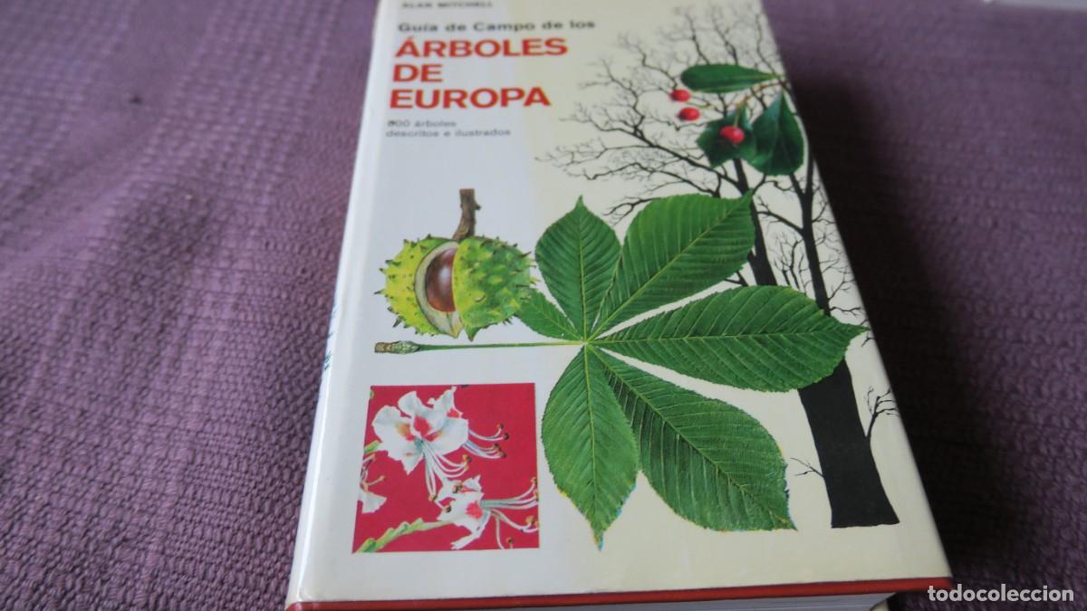 Second hand books: Gu&iacute;a de Campo de los &Aacute;rboles de Europa - Alan Mitchell