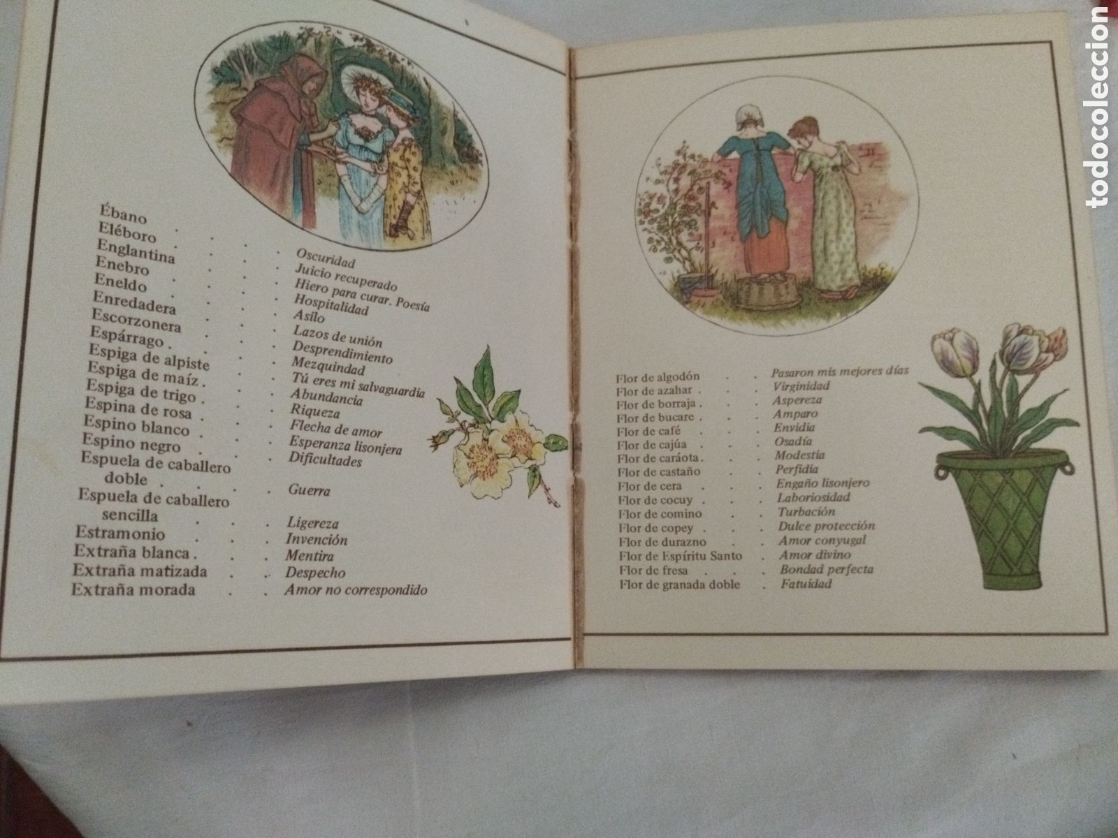 Libros de segunda mano: EL LENGUAJE DE LAS FLORES. Kate Greenaway (ilustradora) - Foto 2