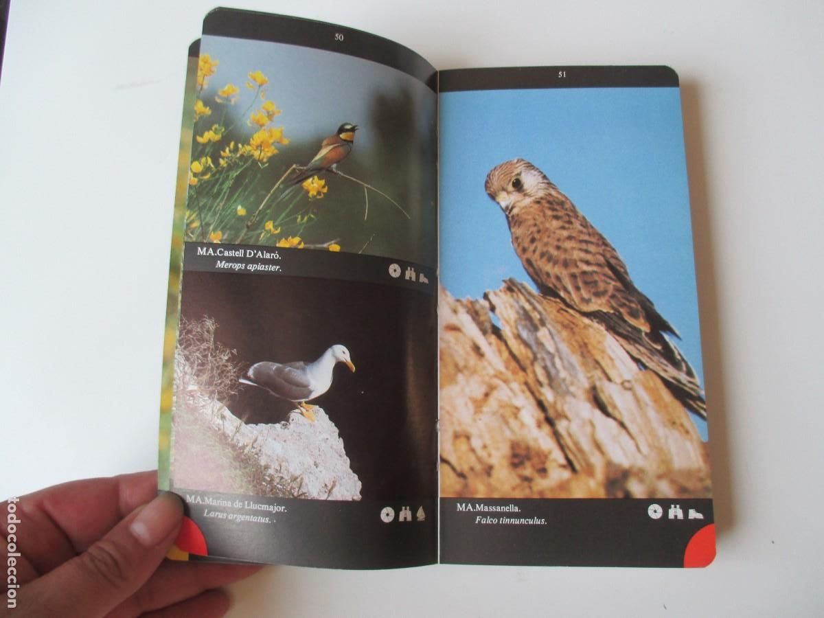 Libros de segunda mano: GU&Iacute;A ECOL&Oacute;GICA DE BALEARES W34947 - Foto 3