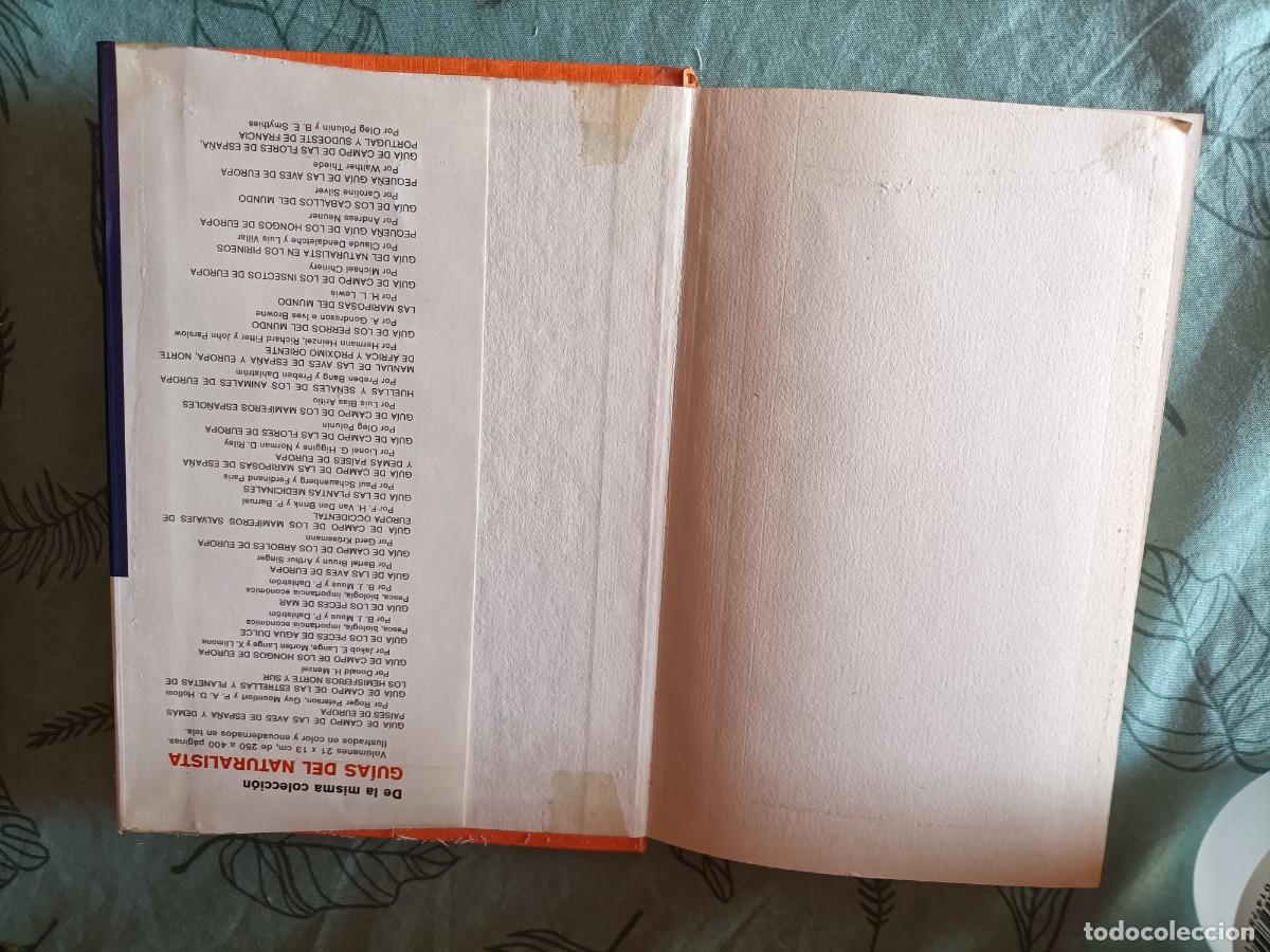 Libros de segunda mano: Los minerales. B&ouml;gel, H. - Omega, 1977 - Foto 5