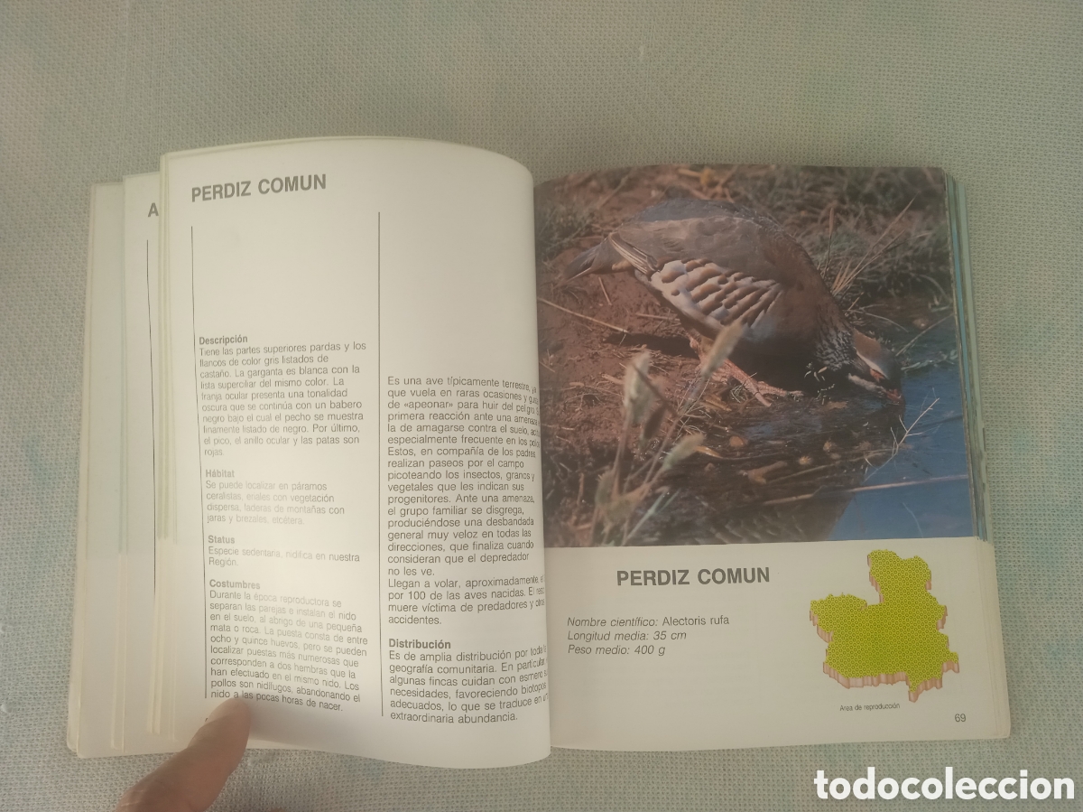 Libros de segunda mano: Fauna de Castilla la Mancha AVES - Foto 3