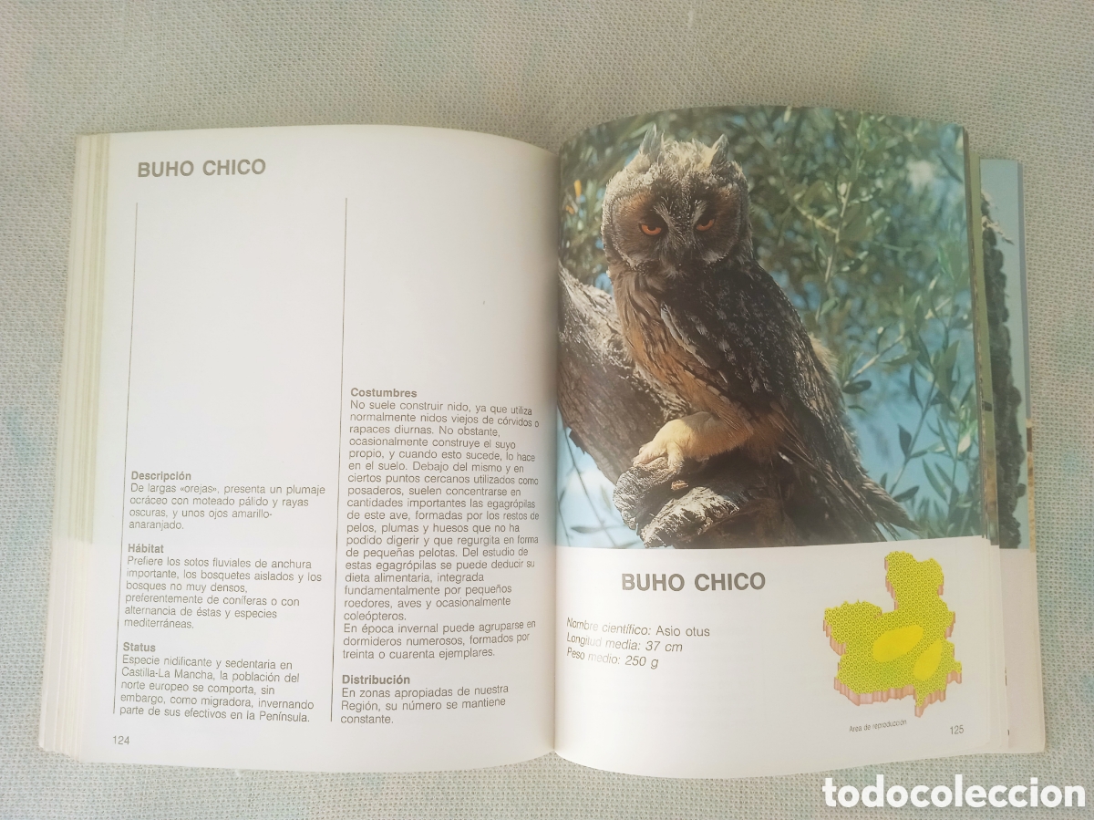 Libros de segunda mano: Fauna de Castilla la Mancha AVES - Foto 4