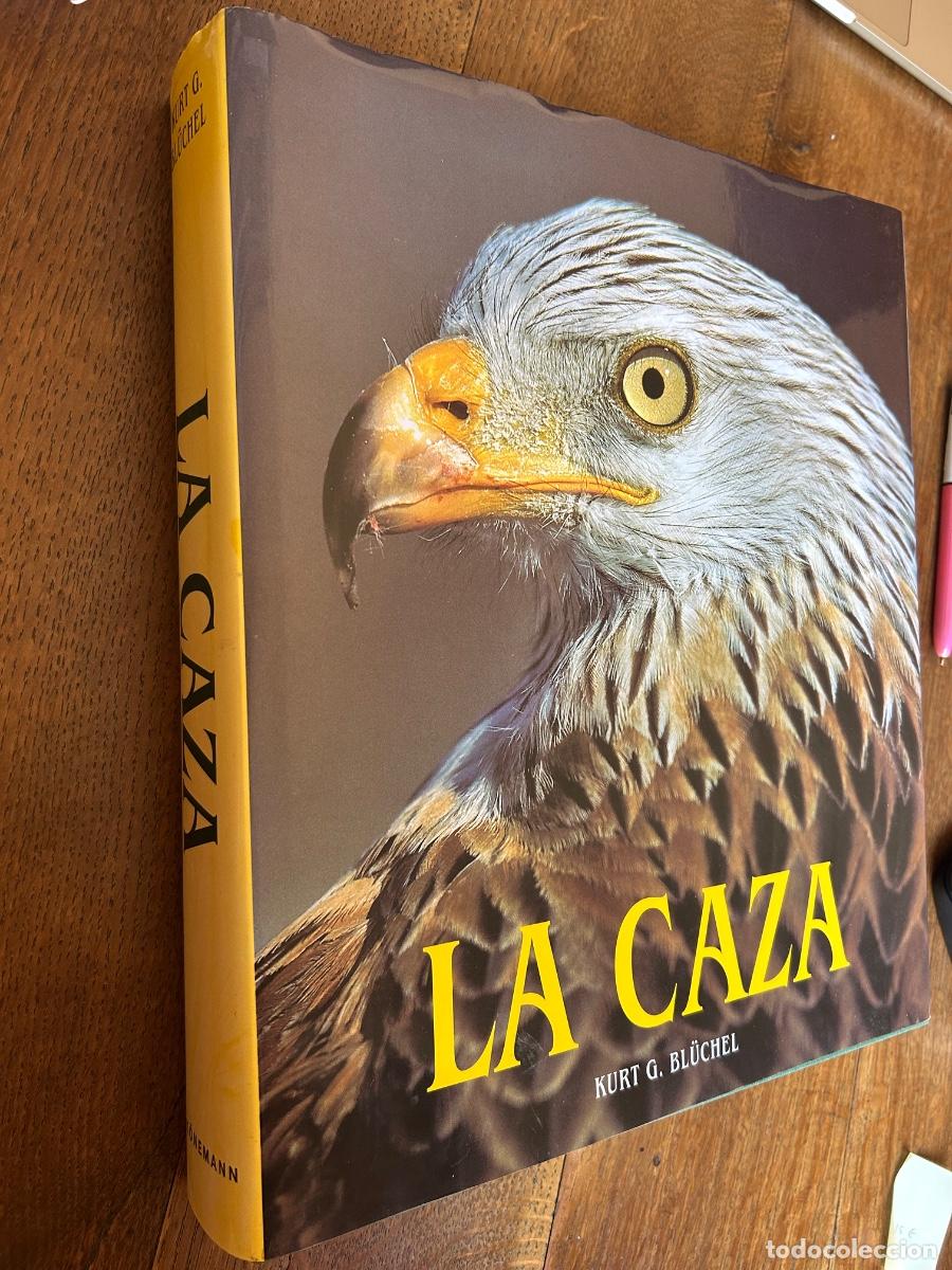 Libros de segunda mano: La Caza. Kurt G. Bl&uuml;chel. K&ouml;nemann ed, 2000 - Foto 10